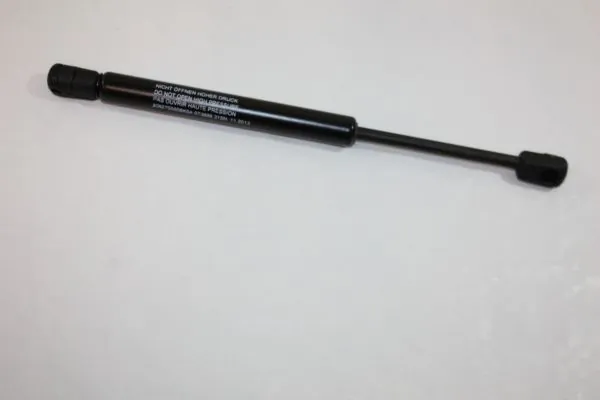 Gas Spring, boot/cargo area 100017610