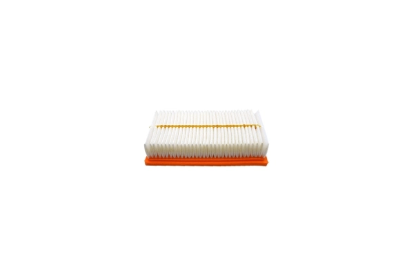 Air Filter 250051510