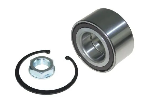 AUTOMEGA 110197210 Wheel Bearing Kit