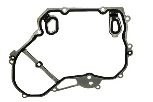 Gasket, timing case 190072910