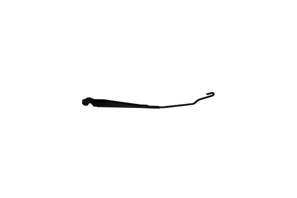 Wiper Arm, window cleaning 100038010