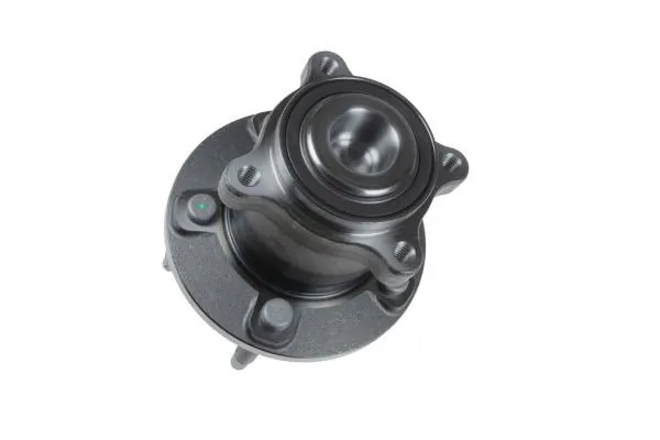 Wheel Bearing Kit 110000510