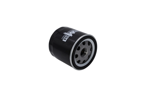 Oil Filter 210081310