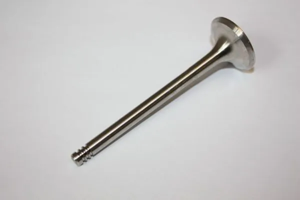 Exhaust Valve 130107610