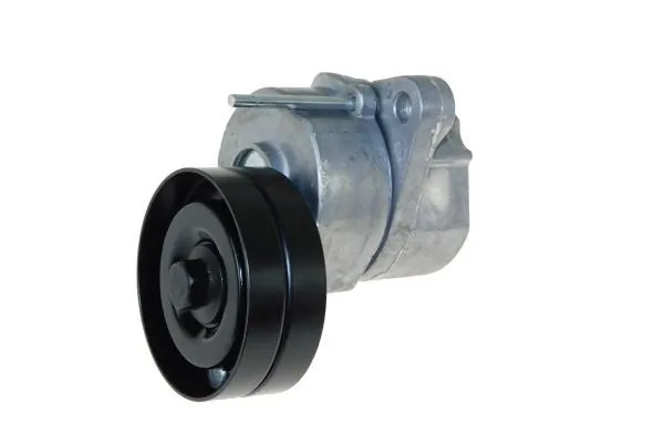 Brazo tensor, correa poli V 160101110