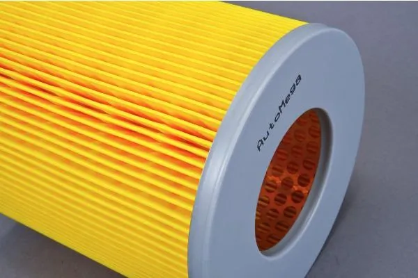 Air Filter 180069110