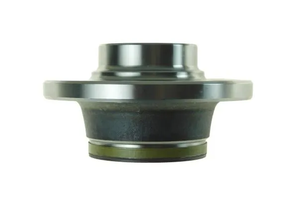 Wheel Bearing Kit 110099210