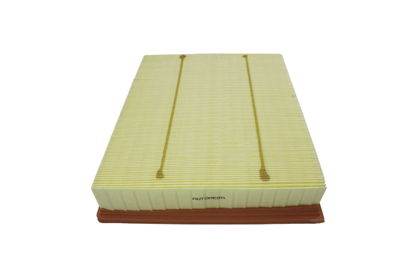 Air Filter 180025810