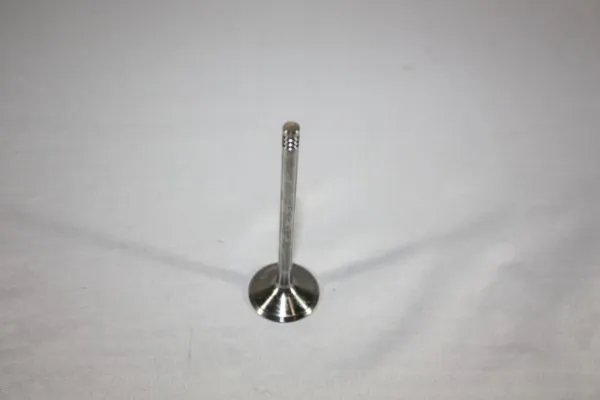Intake Valve 130106910