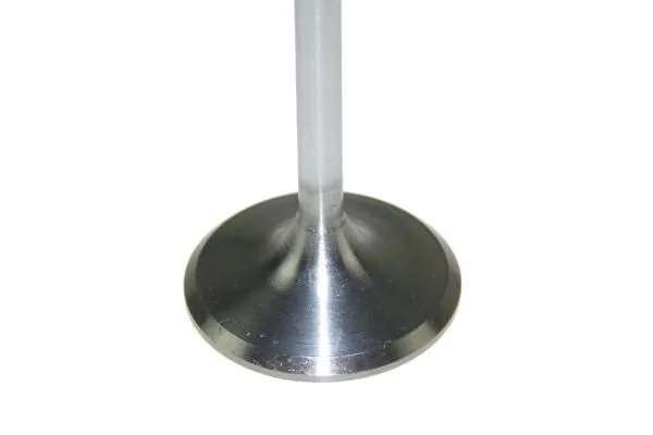 Intake Valve 130107210