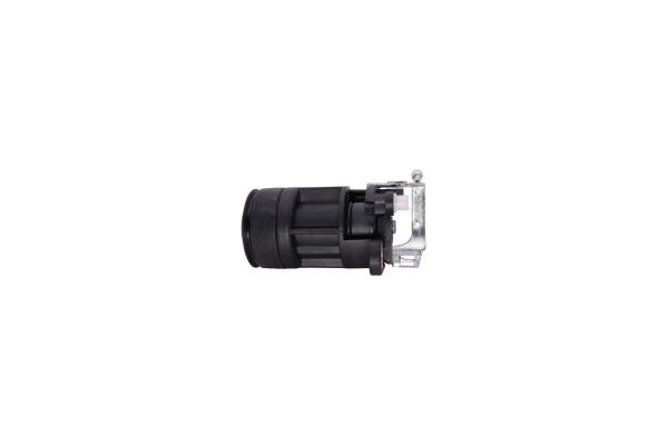 AUTOMEGA 100019210 Tailgate Lock