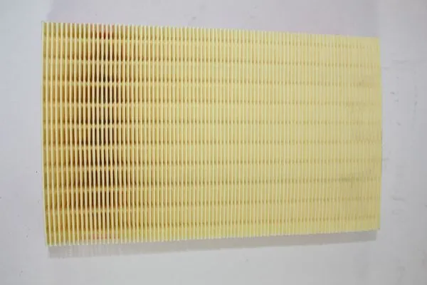 Air Filter 180035610