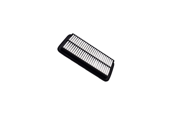 Air Filter 250051310
