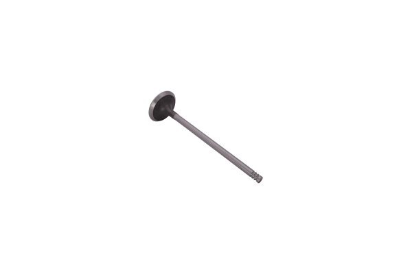 Exhaust Valve 130097310