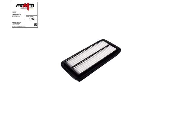 Air Filter 250051310