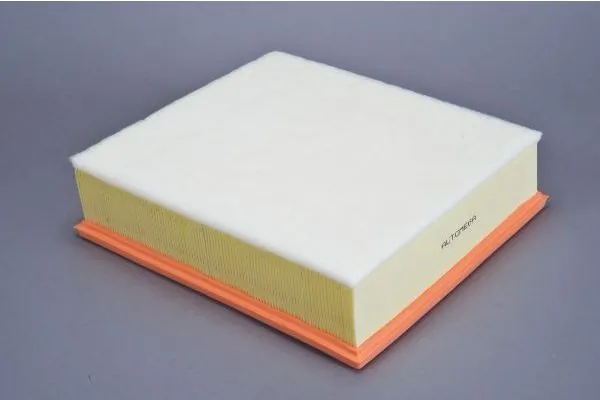 Air Filter 180072910