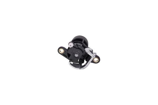 AUTOMEGA 100019210 Tailgate Lock