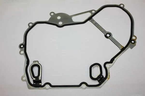 Gasket, timing case 190072910