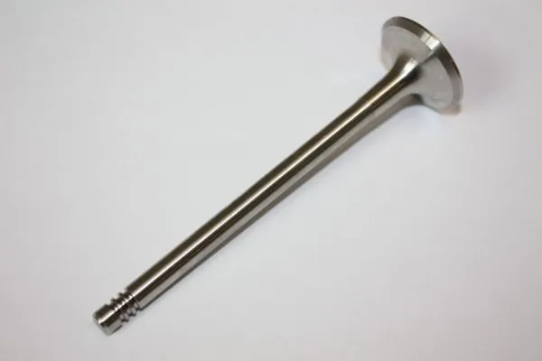 Exhaust Valve 130097110