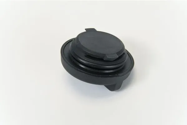 Sealing Cap, oil filler neck 210180910