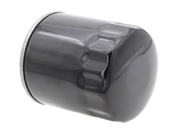 Oil Filter 210006610