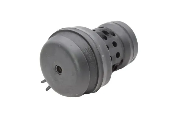 Mounting, engine 130031910