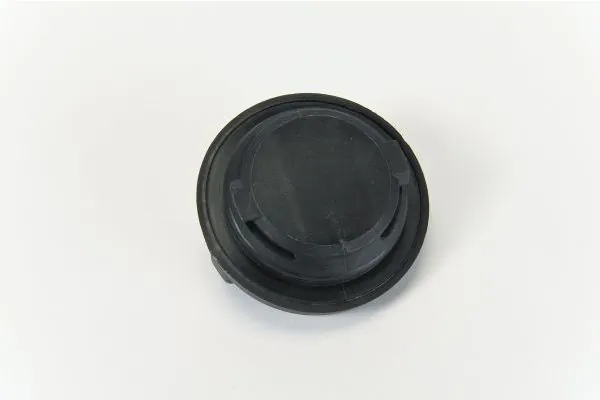 Sealing Cap, oil filler neck 210180910