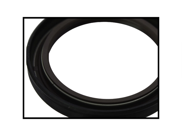 Shaft Seal, crankshaft 190048110