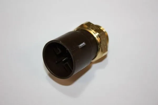 Temperature Switch, radiator fan 160103810