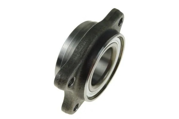 AUTOMEGA 110084810 Wheel Bearing Kit