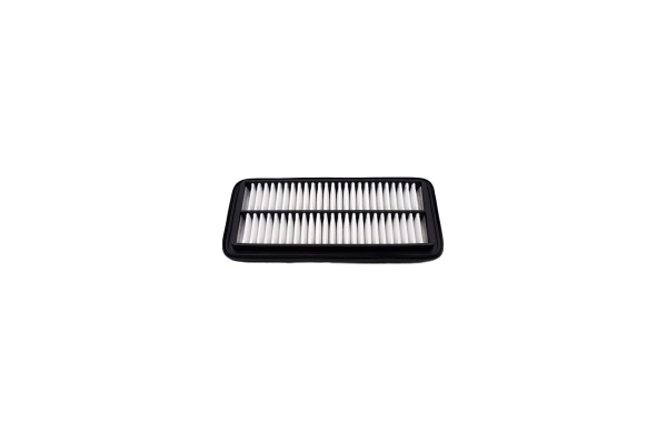 Air Filter 250051310
