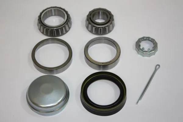 Wheel Bearing Kit 110100110