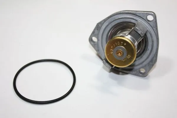 Thermostat, coolant 160100010