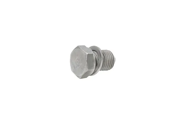Screw Plug, oil sump 130016310