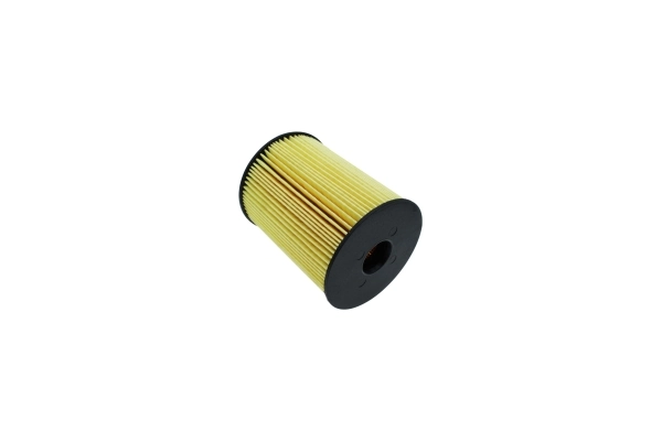 AUTOMEGA 180008810 Fuel Filter