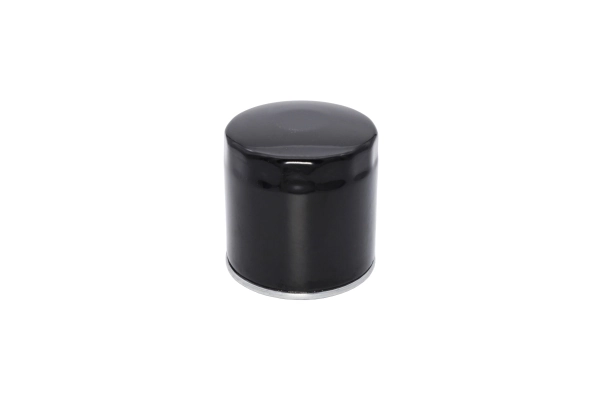Oil Filter 210081310