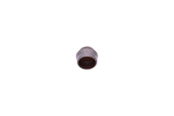 Seal Ring, valve stem 190015110