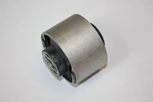 Mounting, control/trailing arm 110178810