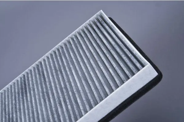 Filter, cabin air 180020010