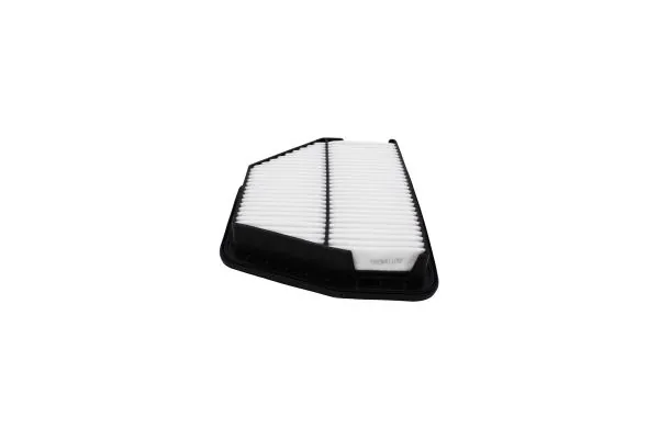 AUTOMEGA 180021610 Air Filter