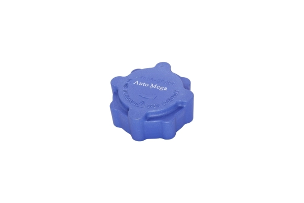 Cap, coolant tank 160055810