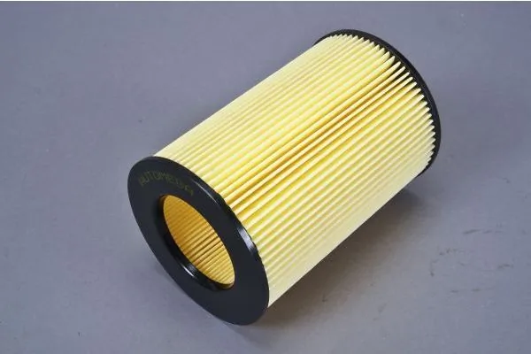 Air Filter 180075110