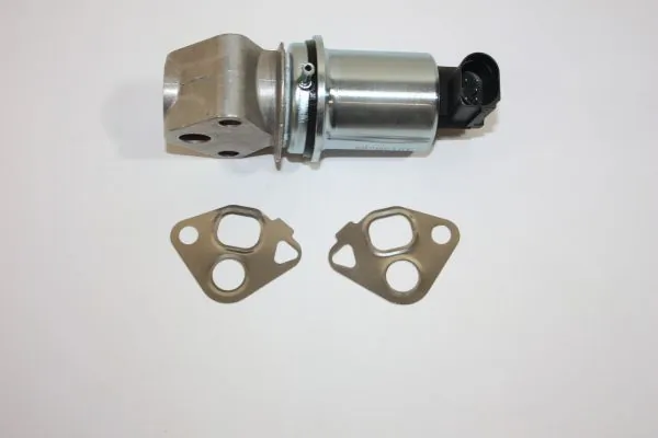 EGR Valve 140010710