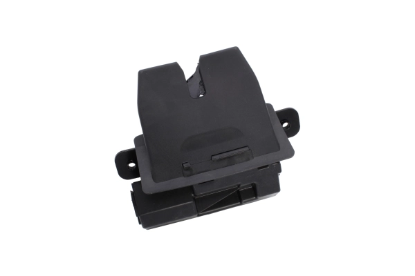 AUTOMEGA 219662810 Tailgate Lock