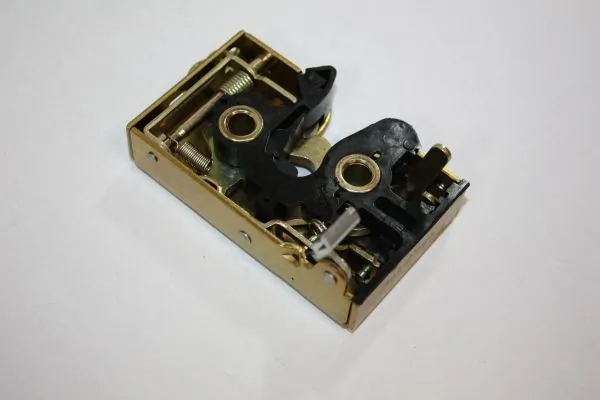 Door Lock 100030910
