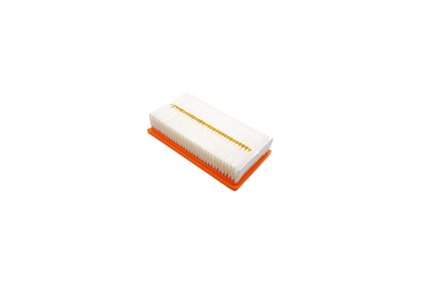 Air Filter 250051510