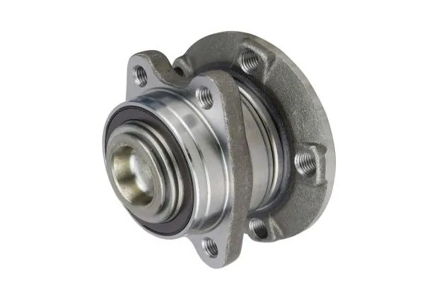 Wheel Bearing Kit 110099010