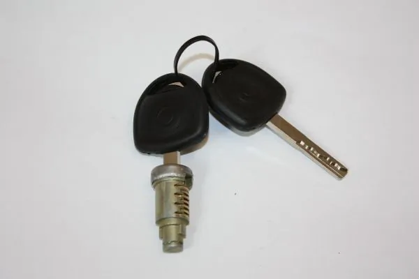 Lock Cylinder 100080710