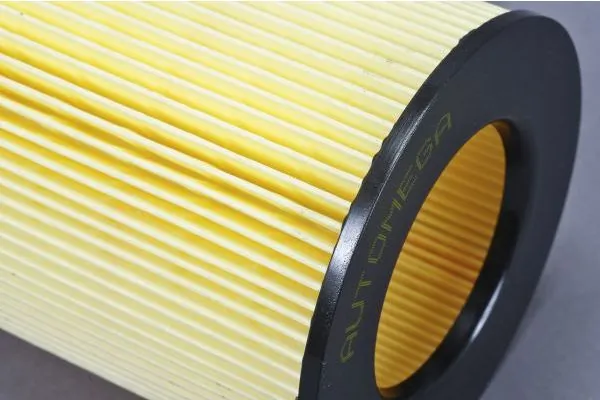 Air Filter 180075110