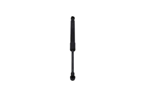 Gas Spring, bonnet 210192810